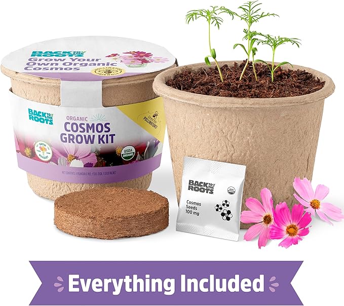 Back to The Roots Organic Cosmos Flower Grow Kit with Plantable Starting Pot Soil and Seeds