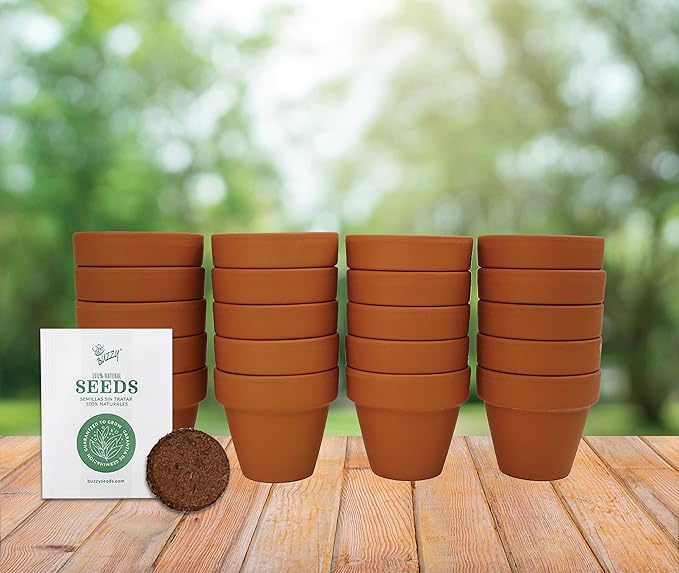 BUZZY Seeds Terracotta Mini Grow Pots – Herb Flower Plant Starter Kit Assorted 20-Pack with Lavender Seeds, Indoor Grow Your Own Gardening Gift for DIY Projects and Party Favors