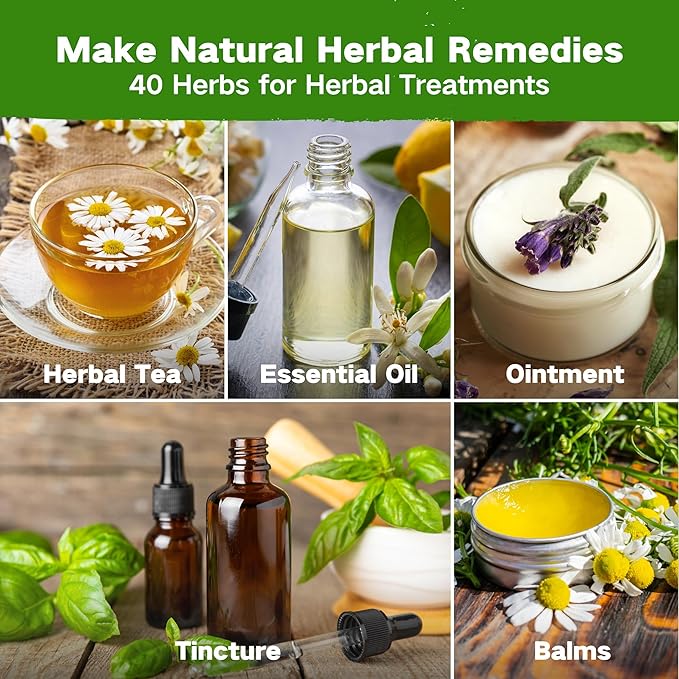 Lush&Dew Ancestral Apothecary Medicinal Tea Herb Seed Chest, 36,000+ Non-GMO Survival Seed Kit, Gardening Gifts for Women Men, 40 Types Heirloom Garden Seeds for Planting Herbs, Raised Bed Windowsill