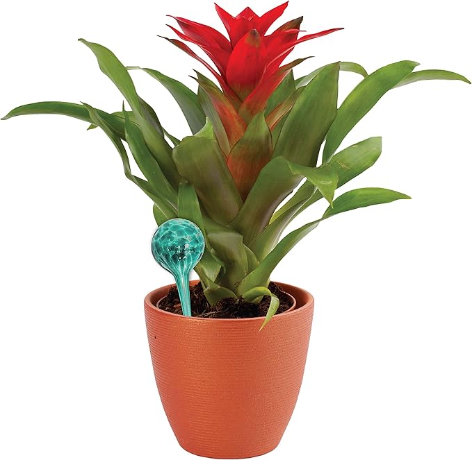 Maxam Wyndham House, 4 Piece Watering Globe Set, Colorful Hand-Blown Glass Plant Watering System