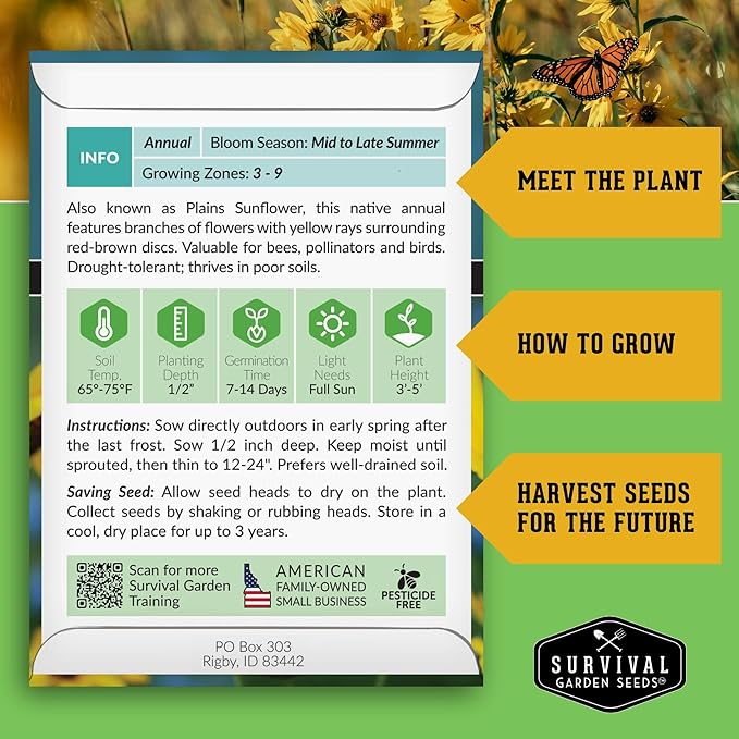 Native Prairie Sunflower Seeds for Planting (Helianthus petiolaris) | Compact Drought Tolerant | Pollinator Magnet | Non-GMO Wildflower to Plant - Survival Garden Seeds - 1 Pack