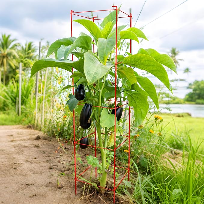 Tomato Cages 6 Packs 57 Inches (H) Plant Stand with 164 Feet Twist Ties, Heavy Duty Garden Plants Support for Tomatoes, Cucumber, and Other Climbing Plants (Red)