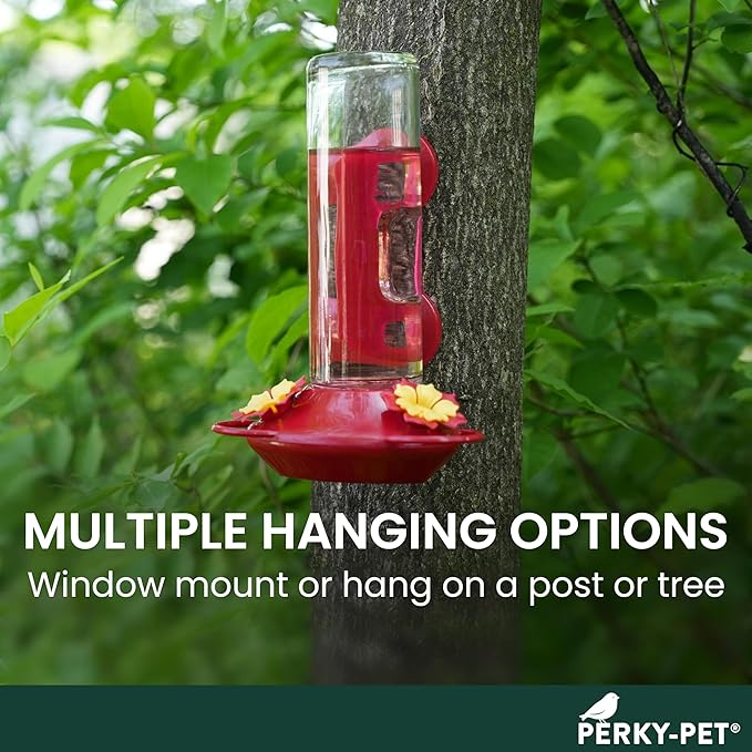 Perky-Pet Window-Mounted Glass Hummingbird Feeder - 14 fl oz Nectar Capacity - Entertaining Bird Watching - Glass Window Bird Feeder - 455-2 - Family Birdwatching