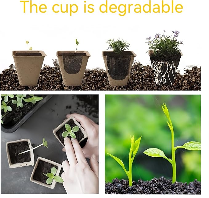 240 Cells Seed Starter Tray 24 Packs Biodegradable Peat Pots Germination Trays Organic Seed Starting Trays kit with 24 Labels 2 Transplant Tools