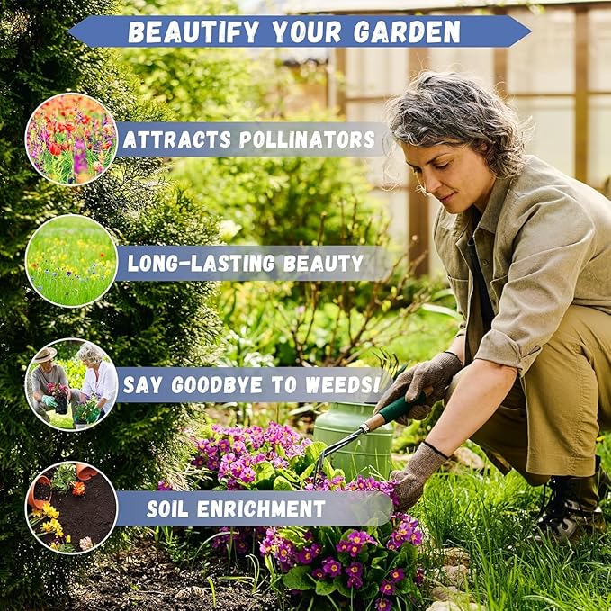 10,000 Lavender Seeds - Non-GMO Heirloom, High Germination Perennial Herb, Fragrant Purple Blooms, Pollinator Friendly for Indoor & Outdoor Planting