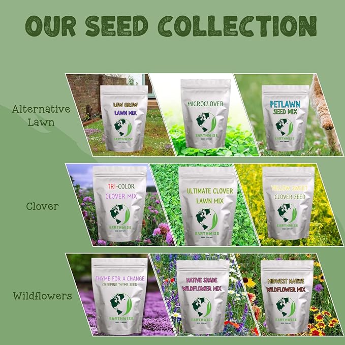 Earthwise Pollinator Paradise Native Wildflower Seed Mix – Bee and Butterfly Friendly, Organic, Season-Long Blooms, Low Maintenance, Drought Tolerant, Pet Safe – Covers Up to 150 sq ft, 1 oz