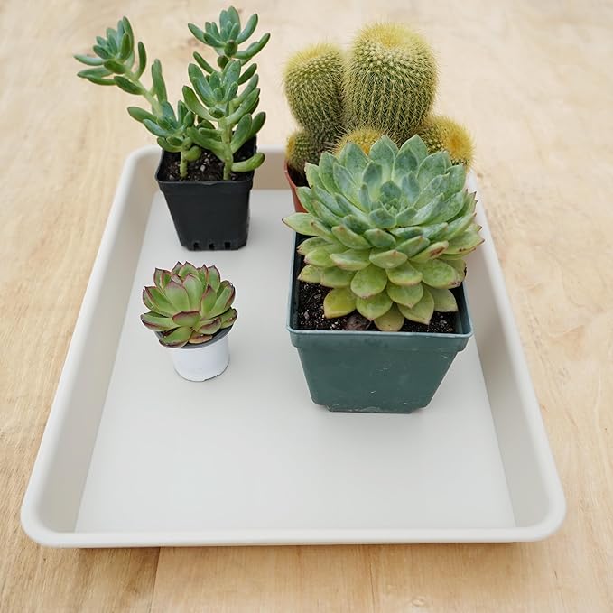 2 Pack Rectangular Plant Saucer Tray, Heavy Duty Plastic, Beige, 17.5" x 10.6" x 1.5" (2 pack), Plant Drip Trays for Pots, Seed Starter Growing Trays, Indoor/Outdoor Use