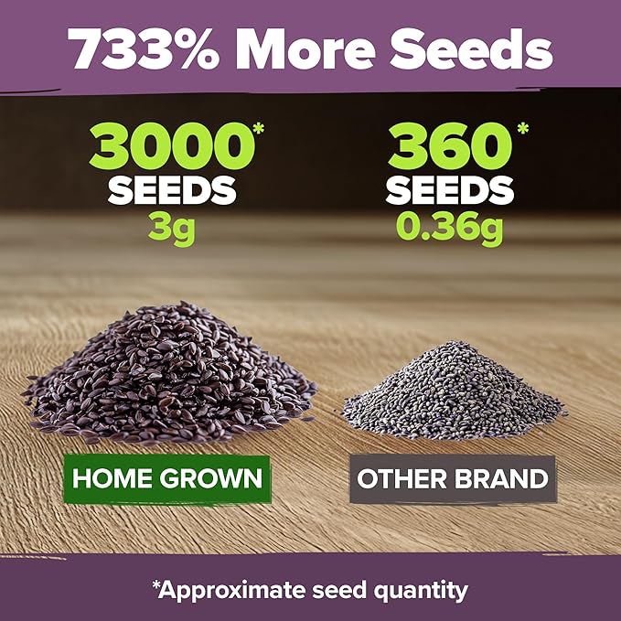 HOME GROWN Non GMO English Lavender Seeds 3,000+ Wildflower Seed for Planting Indoor/Outdoor, High Germination, Plant Flower Seeds (Lavandula antustifolia)