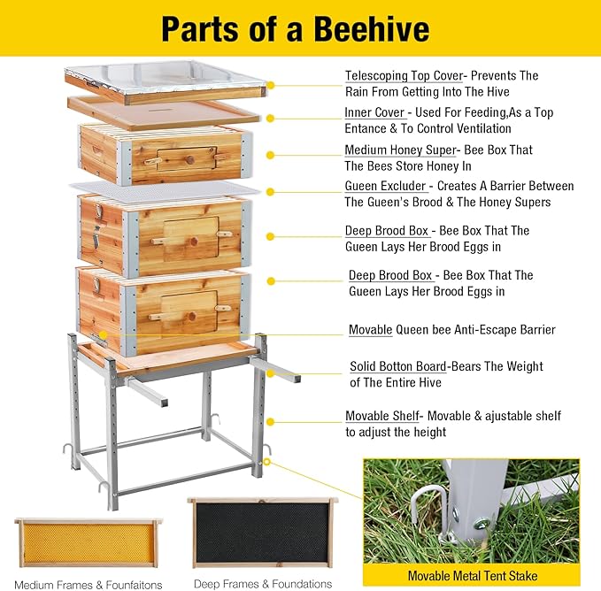 Aivituvin Bee Hive Bee Box 10 Frame Upgrade with All -Around Metal Frame Bee Castle Coated with 100% Beeswax Includes Waxed Foundations,2 Deep Boxes & 1 Medium Box