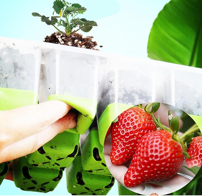 5pcs Seed Starter Tray, Silicone Seeding Starter with Pop-Out Cells (60 Cells in Total), Plant Growing Trays for Seed Starter, Indoor Seeding Planting Growing(5PCS,Green)