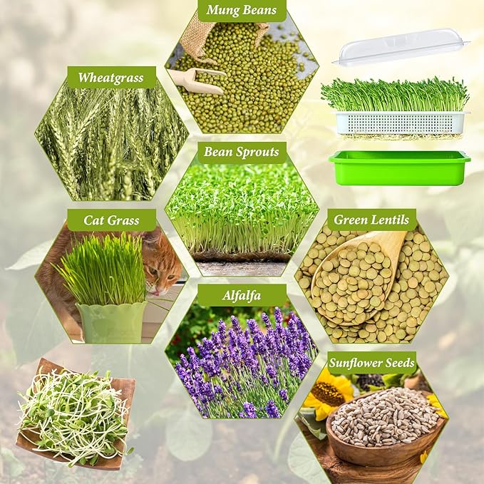 Legigo 8 Pack Seed Sprouter Trays with Lids- Soil-Free Cultivation Germination Tray, BPA Free Micro Greens Growing Trays Seed Sprouting Trays Kit with Germinating Paper for Wheatgrass, Beans and More