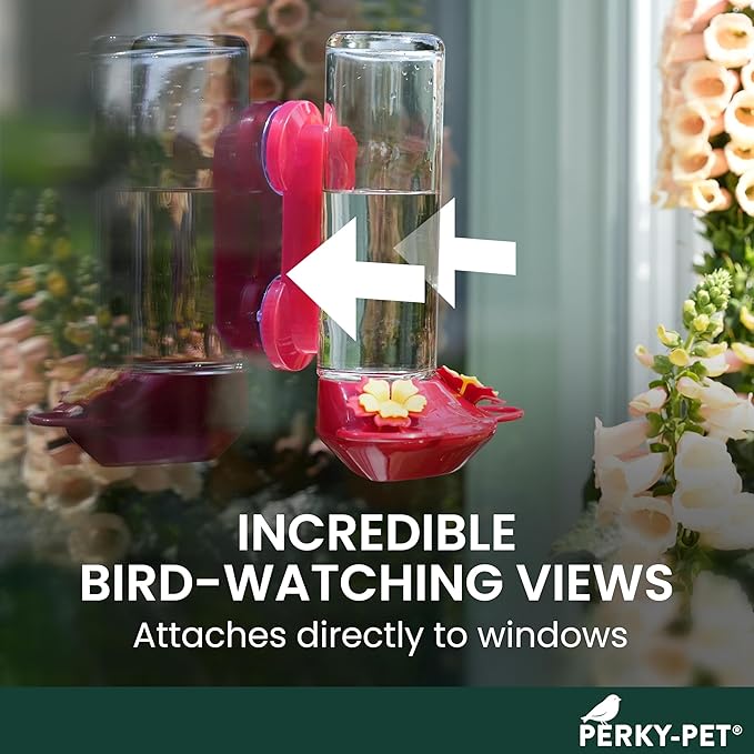 Perky-Pet 455-2 Mounted 445-2 Glass Window Hummingbird Feeder, Red – 14 oz (Pack of 2)