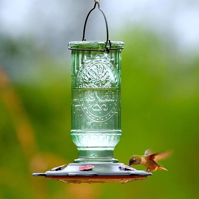 More Birds Vintage Hummingbird Feeder, Antique Glass Bottle, 5 Feeding Ports, 20-Ounce Nectar Capacity