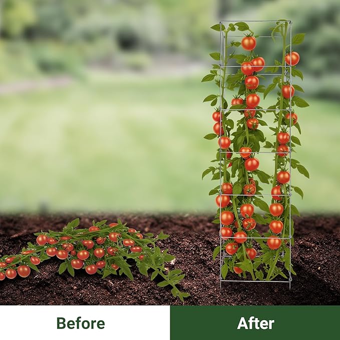 Metal Foldable Tomato Cages 13" x 56", Square Tomato Cages Plant Support for Vegetable Garden, Heavy Duty Tall Tomato Cages for Beans, Tomatos, Cucumbers - 2 Pack