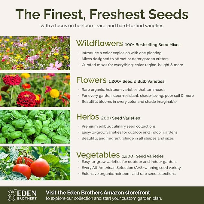 Eden Brothers Back to Basics Flower Mixed Seeds for Planting, 1 lb, 480,000+ Seeds with Cornflower Tall Blue, Corn Daisy | Attracts Pollinators, Plant in Spring or Fall, Zones 3, 4, 5, 6, 7, 8, 9, 10