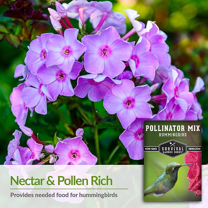 Survival Garden Seeds - Hummingbird Pollinator Mix Wildflower Seed for Planting - 2 Packs with Instructions to Plant & Grow Nectar Flowers in Your Home Vegetable Garden - Non-GMO Heirloom Varieties