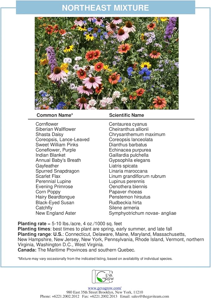on the Go Regional Wildflower Seed Shaker - Northeast USA Wildflowers - 100% Pure Seed - Organic, Non-GMO - 21 Wildflower Variety Seeds of Annual & Perennial, 8oz