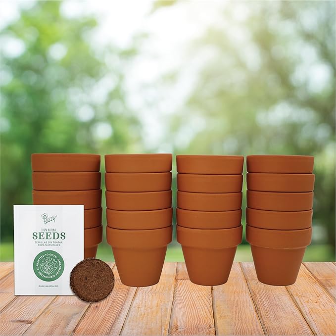 BUZZY Seeds Sunflower Seed Starter Kit Bulk 20 Pack – Mini Terracotta Grow Pots, Flower Gardening Kits for Wedding Favors & DIY Crafts