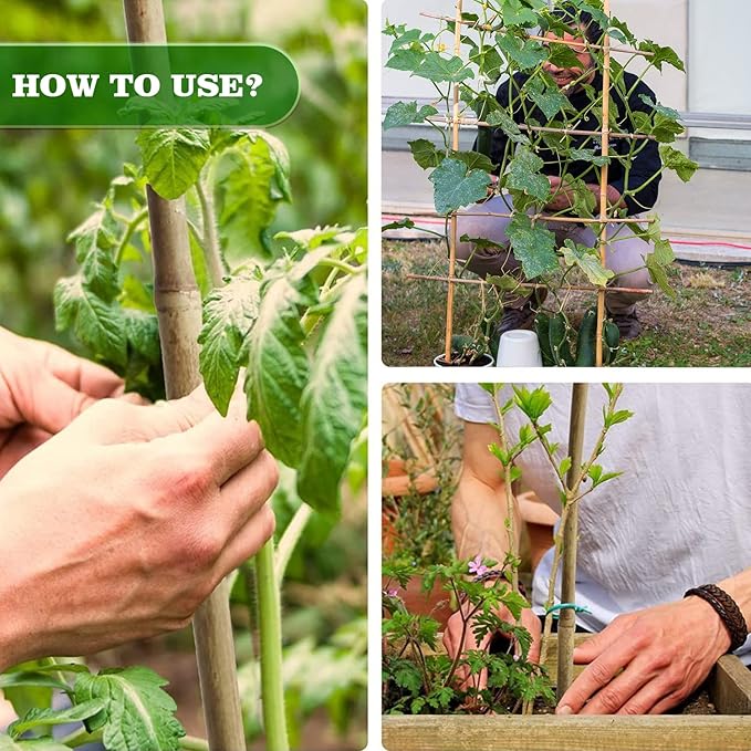 15pcs 3/4" D Thicker Heavy Duty Bamboo Stakes, 7FT Plant Stakes, Natural Garden Stakes for Tomato, Bean, Flowers,Trees Potted and Climbing Plant Support