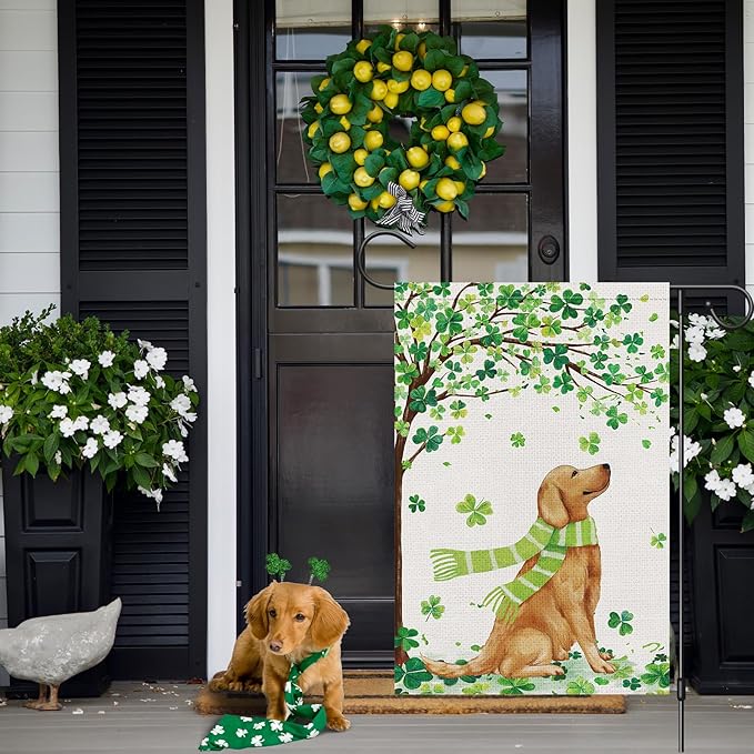 Louise Maelys St Patricks Day Garden Flag Shamrock Golden Retriever Welcome Double Sided 12x18 Inch Small Burlap Saint Spring Holiday Yard Outdoor Outside Home Decor