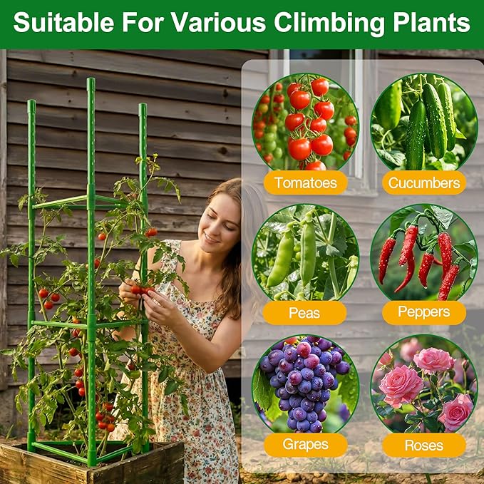 WAENLIR 6-Pack Tomato Cage for Garden, Up to 51 Inch Tomato Trellis for Raised Garden Bed, Plant Stakes for Pots, Durable Tomato Plant Support Garden Stakes for Climbing Plants (Green, 51 inch 6 Pack)