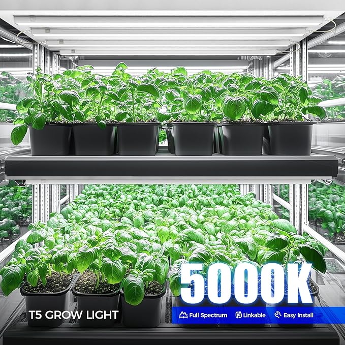 Barrina T5 Grow Lights for Indoor Plants, 3FT 128W (8 X 16W) Full Spectrum Grow Light with Separate Switch, Linkable Grow Lamp, Indoor Plant Lights for Growth, Plug and Play, 5000K, 8 Packs