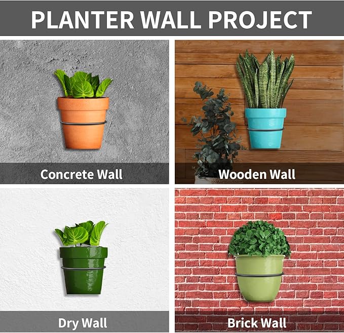 6 Pack 6 Inch Wall Plant Holder,Metal Plant Hanger Indoor,Wall Planters For Indoor Plants,Black