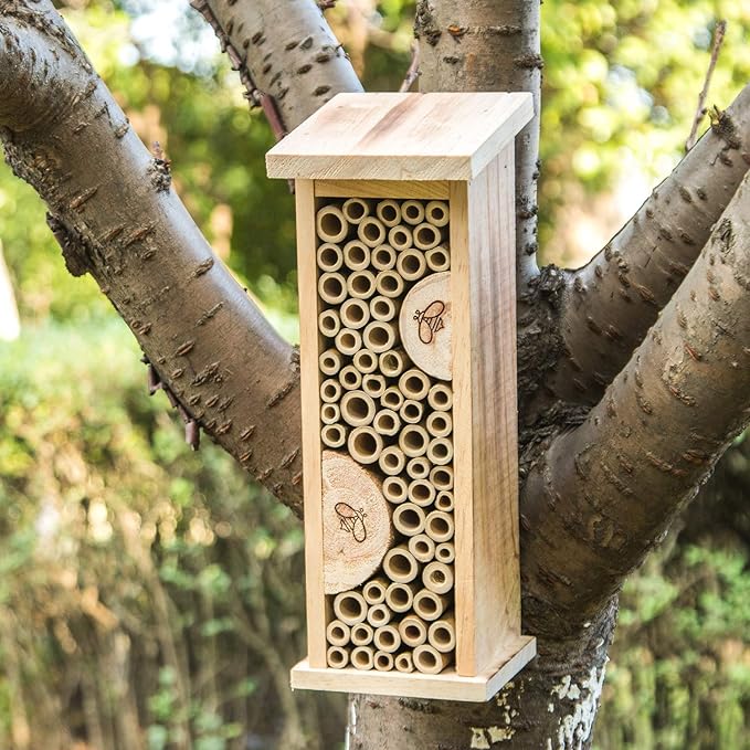 Bird House Bee Hive Wooden Insects House Hanging Bamboo Insect Hotels for Outdoor Garden Decorative