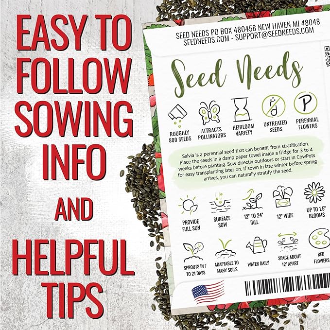 Seed Needs, Scarlet Red Sage Seeds - 800 Heirloom Seeds for Planting Salvia coccinea - Perennial Wildflower for an Outdoor Garden, Open Pollinated & Attracts Pollinators (1 Pack)