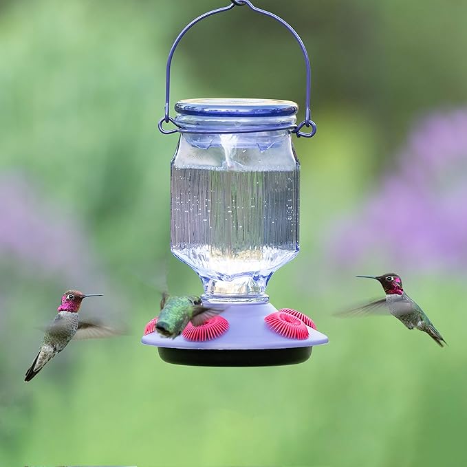 Perky-Pet 9101-2 Lavender Field Top-Fill Glass Hummingbird Feeder Purple 16 oz Capacity