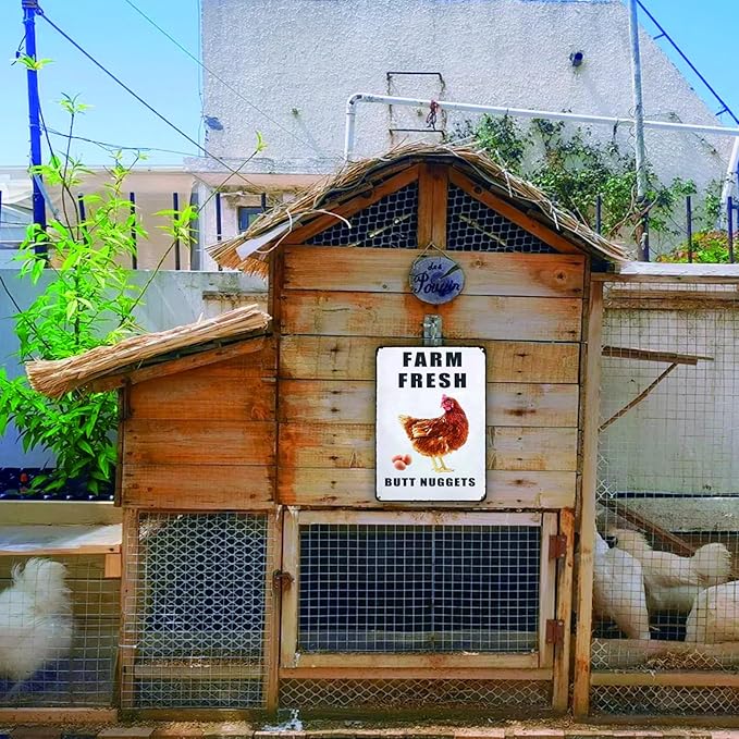 Farm Fresh Butt Nuggets Chicken Sign,Funny Chicken Coop Sign,Chicken Metal Signs,Chicken Tin Sign for Farm Chicken Coop Kicthen Garden Decor 8x12in