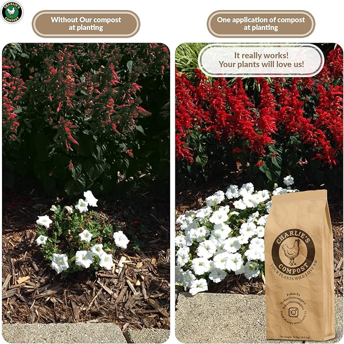 Charlie's Compost - Odor Free Organic Fertilizer for Home Gardens, Raised Beds, Containers, Seed Starting Mix, Natural Soil Amendment with Biochar 10lb