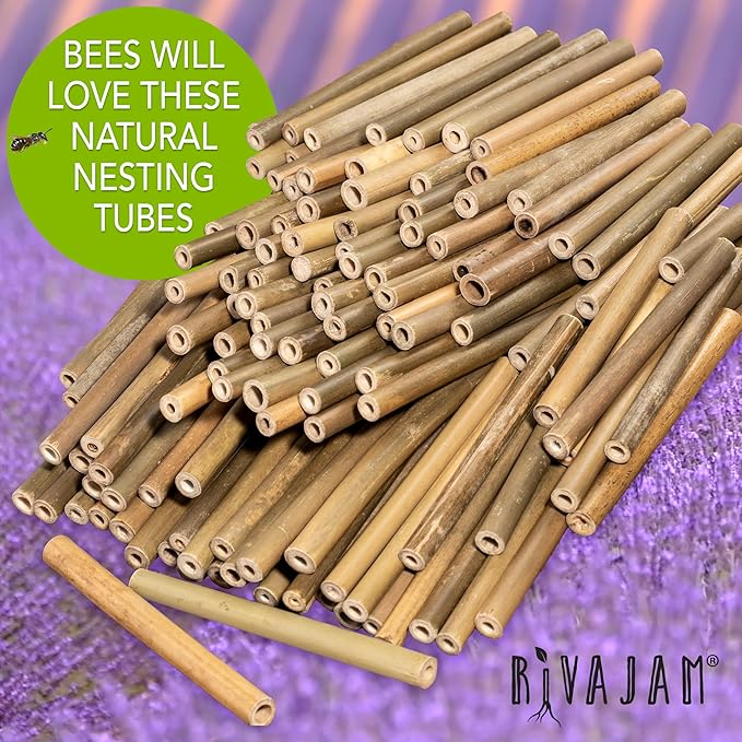 Rivajam 125 Bamboo Sticks for Crafts Supplies | Bamboo Craft Sticks & Mason Bee Tubes for Mason Bee House | Bamboo Reed Mason Bee Straws for Solitary Bee Box, Bee Hotel & Pollinator Gardens