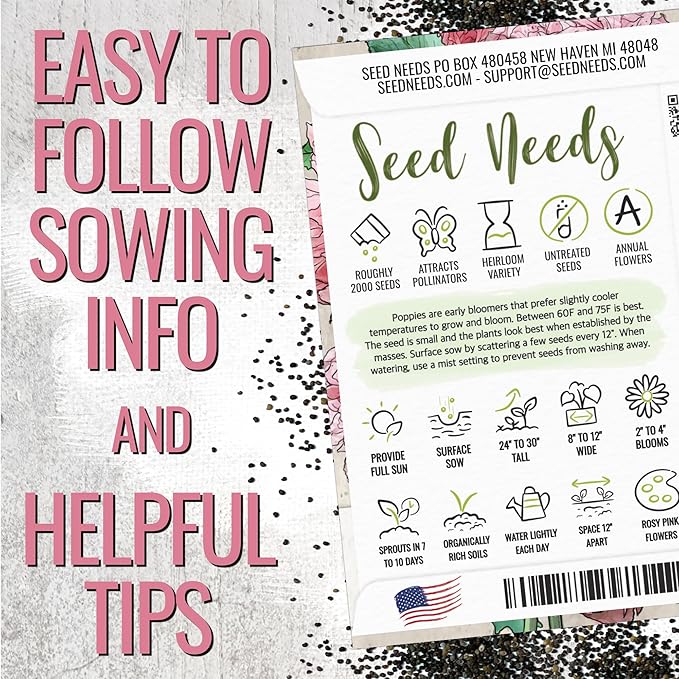 Seed Needs Pale Rose Peony Poppy Seeds for Planting - Heirloom & Open Pollinated Annual Flowers - Pink Ruffled Blooms to Attract Butterflies to the Garden (1 Pack)
