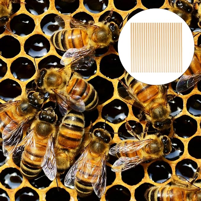 VANZACK 400 Pcs Natural Wheat Straw Bee Nesting Tubes for Mason Bees - Lightweight Refillable Bee Tubes for Garden Pollination and Habitat Support