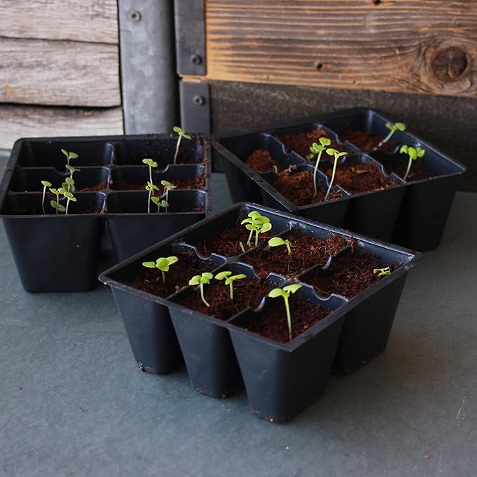 Handy Pantry Black Plastic Garden Tray Inserts - 5 Sheet of 48 Planting Pot Cells Each - 2x3 Nested x8 Configuration - Perforated - Nursery, Greenhouse, Gardening