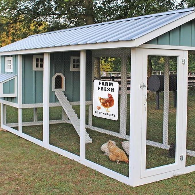 Farm Fresh Butt Nuggets Chicken Sign,Funny Chicken Coop Sign,Chicken Metal Signs,Chicken Tin Sign for Farm Chicken Coop Kicthen Garden Decor 8x12in