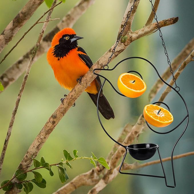 Hushee 2 Pack Oriole Feeder for Outdoors Jelly and Oranges Fruit Metal Bird Feeder Outdoor Garden Metal Hanging Drinking Container Hummingbird Jelly for Outdoor Hanging Garden Patio(Bird Shaped)