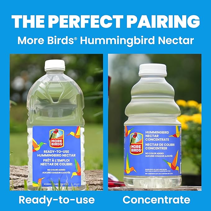 More Birds Mason Jar Hummingbird Feeder, Glass Hummingbird Feeders for Outdoors, 5 Feeding Stations, 25 Ounces