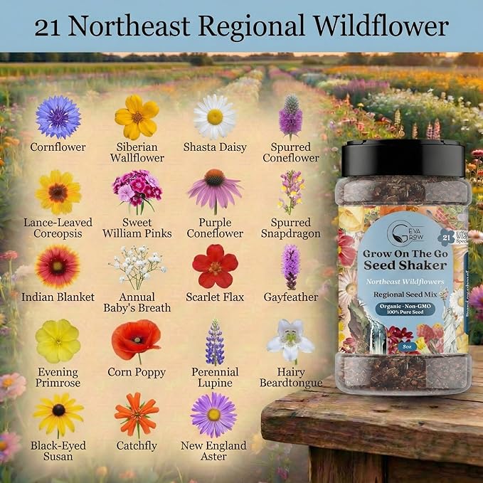 on the Go Regional Wildflower Seed Shaker - Northeast USA Wildflowers - 100% Pure Seed - Organic, Non-GMO - 21 Wildflower Variety Seeds of Annual & Perennial, 2oz