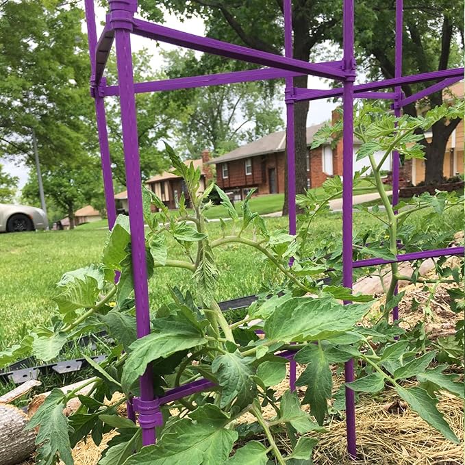 Growsun Tomato Cage for Garden, Upto 73 inch 6 PackTall Tomato Trellis Garden Stakes Plant Support, Green(5ft Stake add 18 inch Adjustable Stakes)