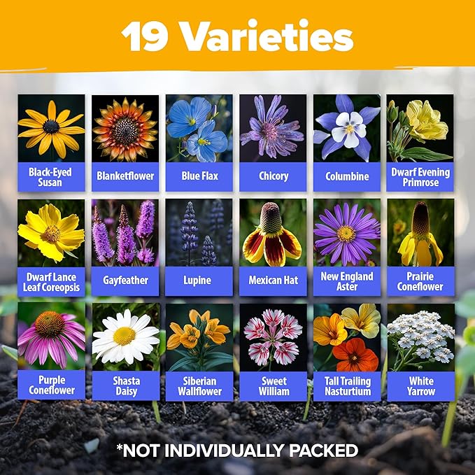HOME GROWN Wildflower Seeds Bulk 4 oz 63,200+ Seeds 19 Varieties Non-GMO Perennial Mix, Butterfly & Pollinator Flower Seeds, Attract Bees, Birds & Hummingbirds, Outdoor Planting