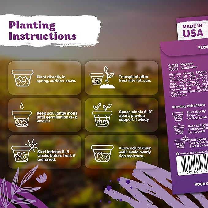 KVITER 150 Mexican Sunflower Seeds For Planting (Tithonia rotundifolia) – Tithonia Seed Packets Bulk, Red Sunflower Heirloom Seed Orange Sunflowers – Flower Seeds Garden Beds and Outdoor Flower Garden