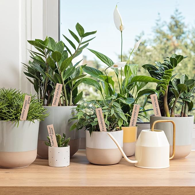 200Pcs Plant Labels,4 Inch Plastic Garden Plant Markers,Waterproof Nursery Plant Tags,Seed Labels,Pot Marker for Outdoor Indoor Garden Plants Label Stakes