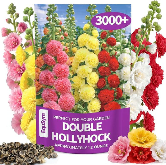 3000+ Double Hollyhock Flower Seeds - Large Bulk Pack, Mixed-Color Tall Hollyhock Seeds, Perfect for Fence Lines & Wall Backdrops, Cottage Garden Style, Beginner-Friendly