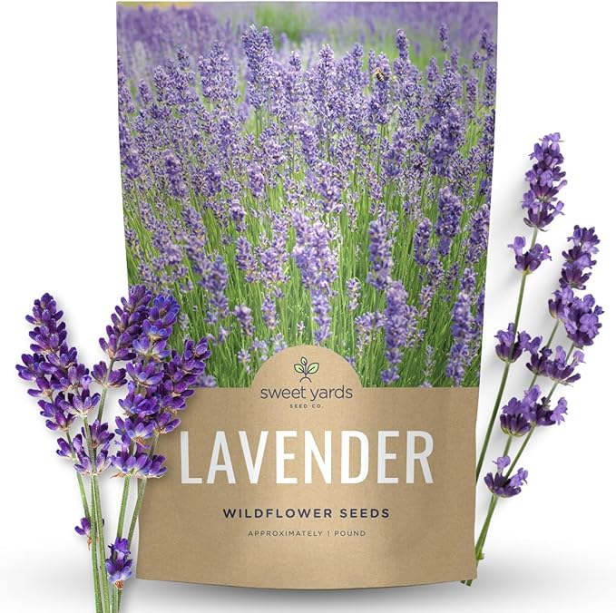 Lavender - Bulk 1 Pound Bag - 400,000 Flower Seeds for Planting - Lavandula angustifolia