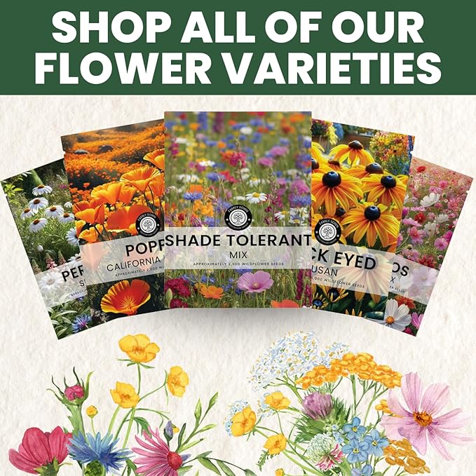 Shade Tolerant Mix – 2,500 Wildflower Seeds for Pollinator Gardens – 2026 Season – 5-Gram Pouch