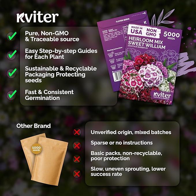 KVITER 5000 Mix Sweet William Seeds for Planting (Dianthus barbatus) – Organic & Heirloom Seed, Clove-Scented Blooms, Drought Tolerant – Perennial Flower Seeds to Plant Outside & Inside