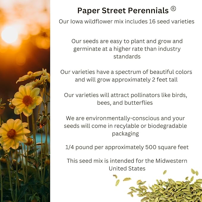 Iowa Bulk Perennial Wildflower Seed Mix 1lb Covers 2,000sq-ft - Attract Pollinators, Multi-Color Blooms - Midwest US Species Plant in Spring/Fall - Earth-Friendly Packaging (1/4 Pound)