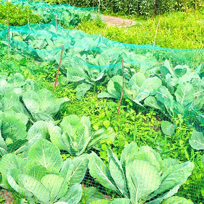 CandyHome 13Ft x 33Ft Anti Bird Protection Mesh Garden Netting Seedlings Plants Flowers Fruit Trees Vegetables from Rodents Deer Reusable Fencing, Green